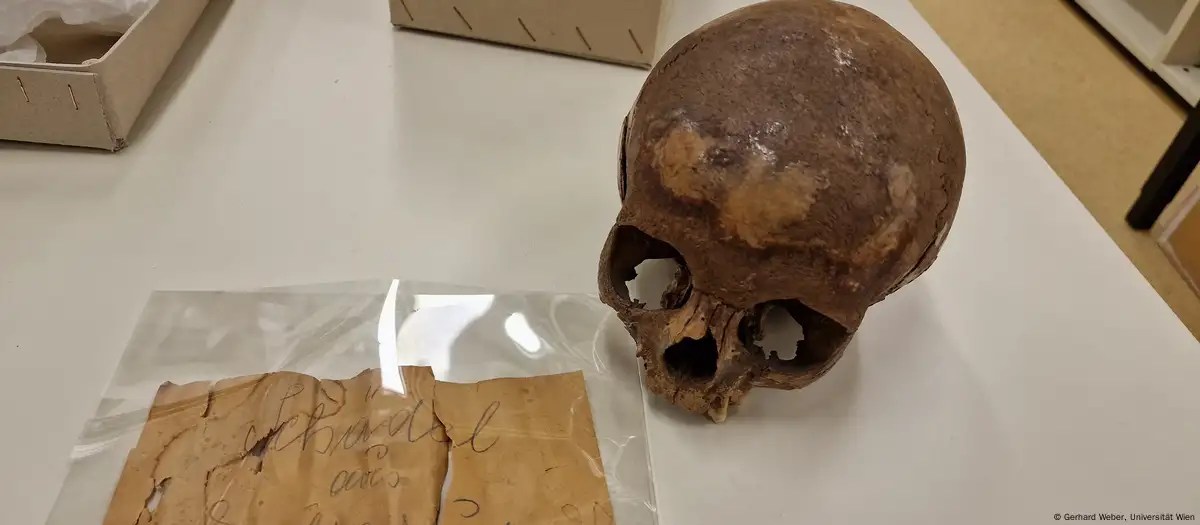 EGIPTO: Un estudio pone fin al misterio del cráneo de la hermana de ...