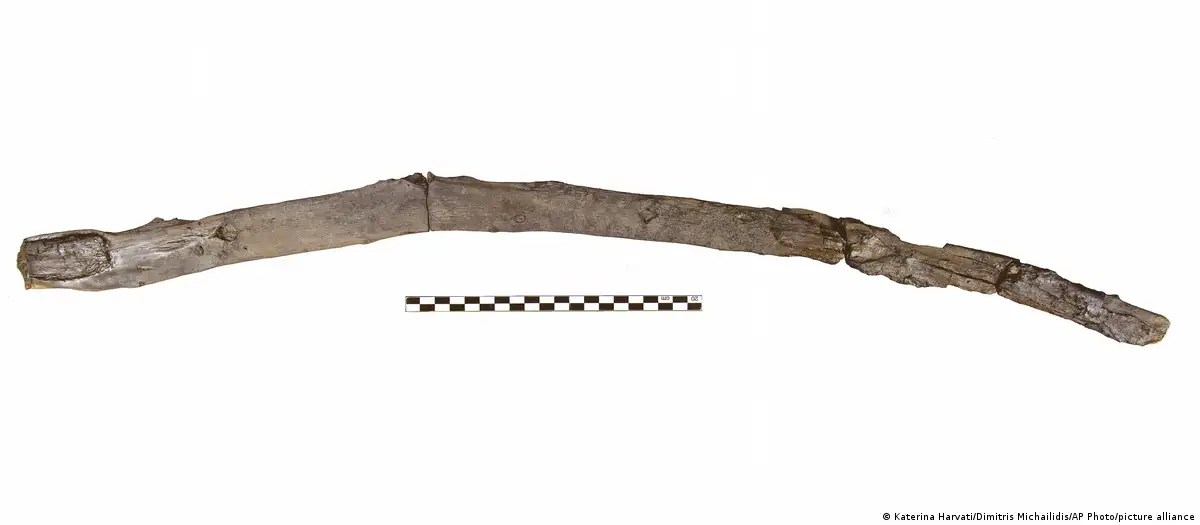 Hallazgo arqueológico redefine nuestra comprensión de la tecnología humana en el pleistoceno