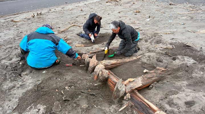 La isla olvidada: arqueología, historia y memoria en el confín austral