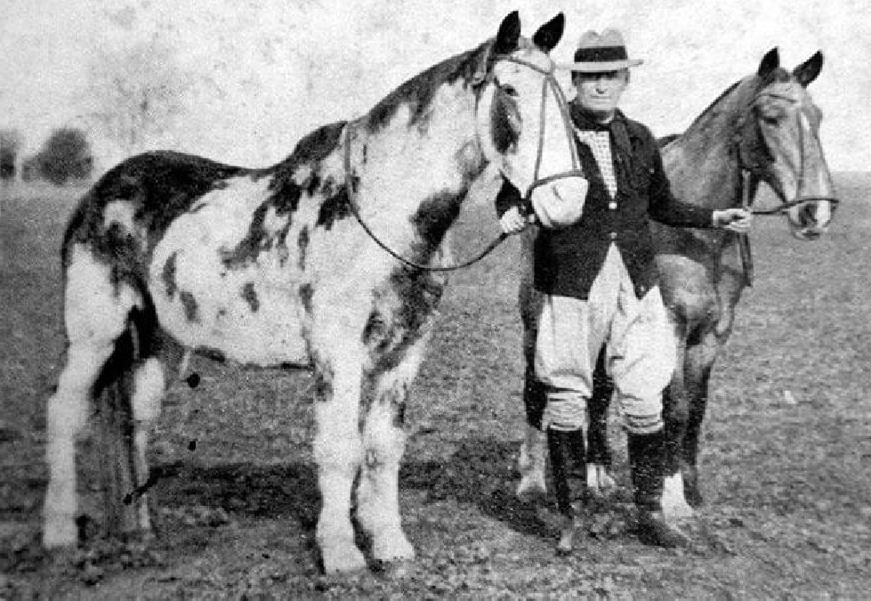 Gato, Mancha y el hombre que se fue a caballo desde Buenos Aires hasta Nueva York
