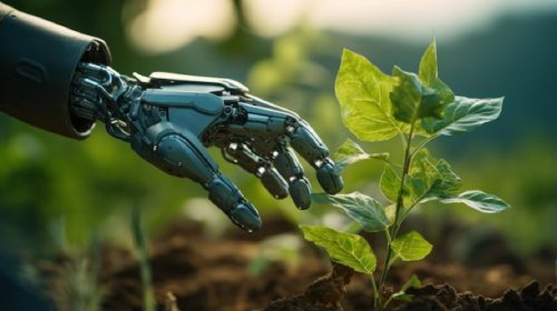 SÚPER RIGI: El país que quiere convertirse en potencia de inteligencia artificial: ¿negocio tecnológico o nuevo enclave energético?