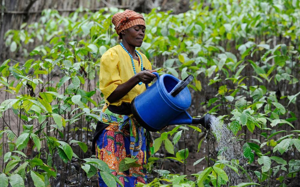 Una mujer en un campo verde riega plantas jóvenes con una regadera azul.