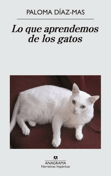 Portada del libro 'Lo que aprendemos de los gatos' de Paloma Díaz-Mas, con un gato blanco sobre un fondo rojo.