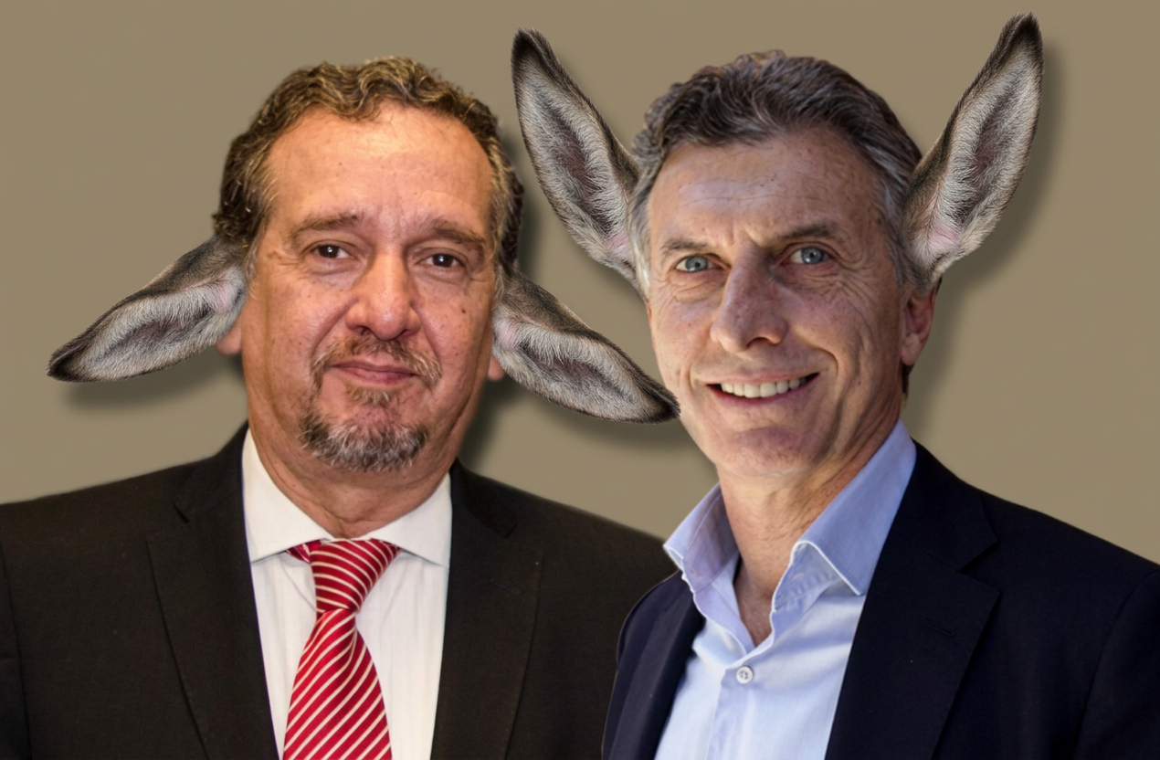 image Dos hombres con orejas de conejo, uno vestido con traje oscuro y corbata roja, el otro en camisa azul y chaqueta oscura, sonriendo frente a un fondo gris.