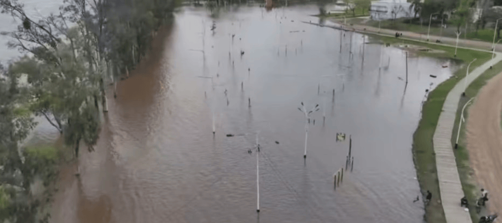 Vista aérea de una zona inundada, con árboles y postes de luz emergiendo del agua, y un camino pavimentado a un lado.