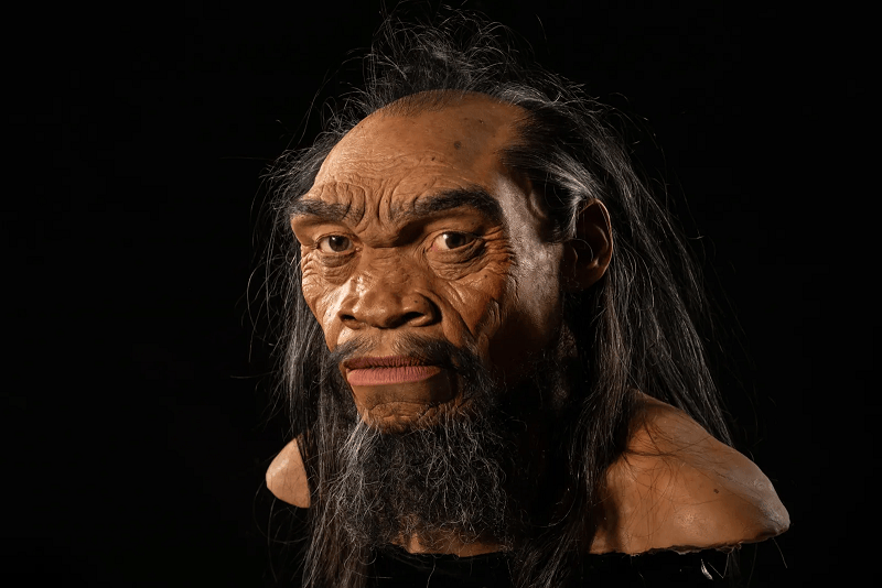 Cabeza de una figura humana prehistórica con rasgos marcados, pelo largo y barba, destacando un semblante intenso.